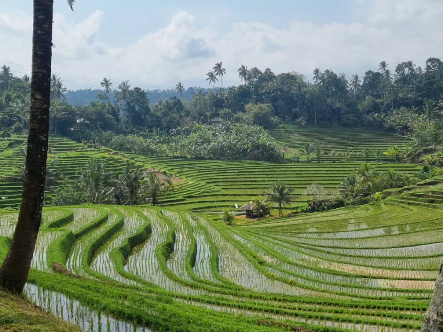 Bali & Nusa Lembongan : voyage en famille