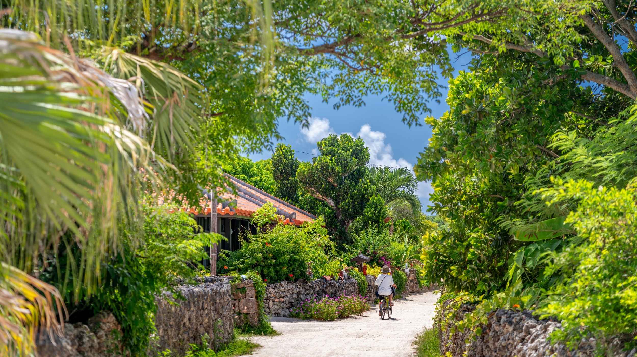 Voyage de noces au Japon en été : entre Tokyo, Kyoto et les îles paradisiaques d&rsquo;Okinawa